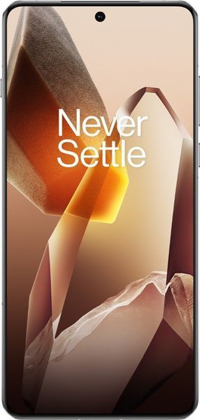 Смартфон OnePlus 13 24/1TB Arctic Dawn 1377273 фото